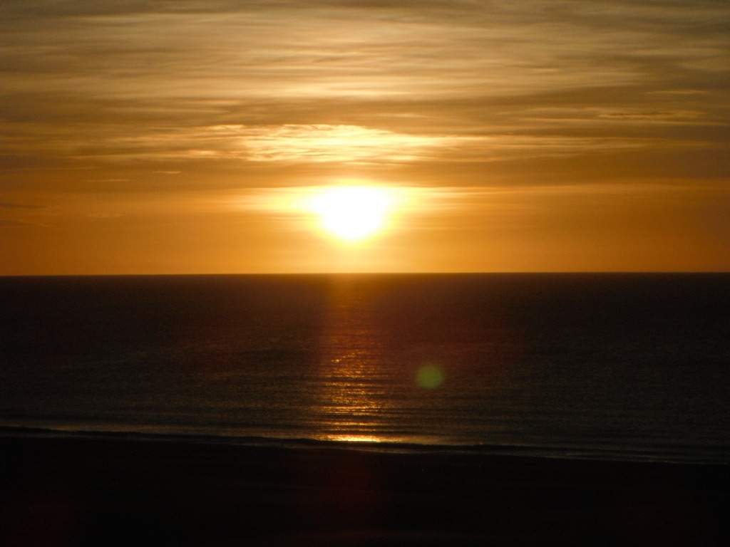 ai1169.photobucket.com_albums_r506_ANOBRE_2_DSCF7918.jpg