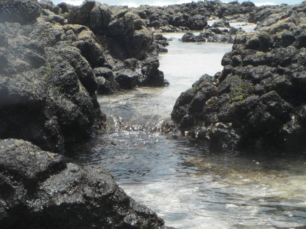 ai1169.photobucket.com_albums_r506_ANOBRE_2_DSCF8101.jpg