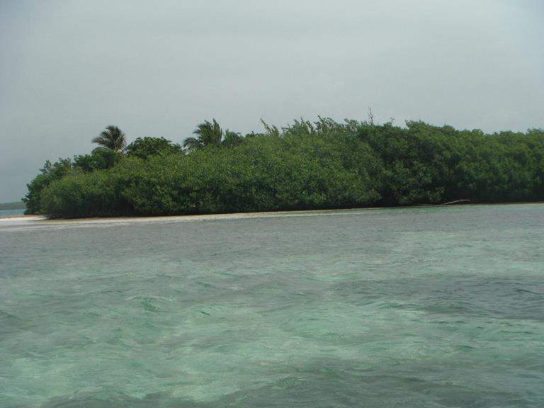 ai1169.photobucket.com_albums_r506_ANOBRE_2_Exc175.jpg