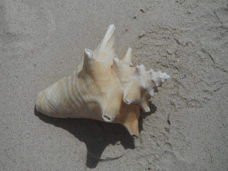 ai1169.photobucket.com_albums_r506_ANOBRE_2_Exc178.jpg