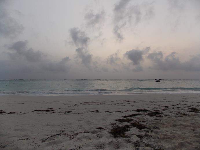 ai1169.photobucket.com_albums_r506_ANOBRE_2_Pr61.jpg