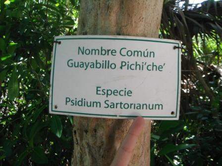 ai1169.photobucket.com_albums_r506_ANOBRE_2_res2a.jpg