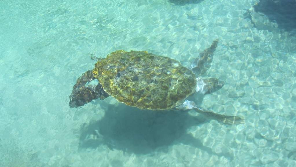ai1169.photobucket.com_albums_r518_almaviajante_e5d01650.jpg