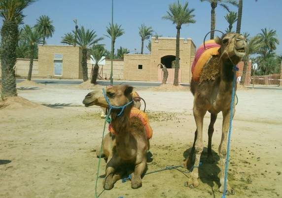 ai1175.photobucket.com_albums_r624_revodka_9b8b285a3df5039f08e4671d442ced61_zpsshubtltm.jpg