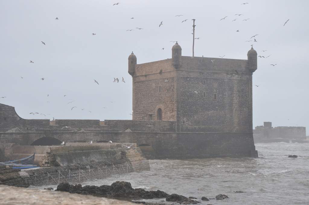 ai1175.photobucket.com_albums_r624_revodka_pouco_20de_20tudo_DSC_0344_zpsphq21e7p.jpg
