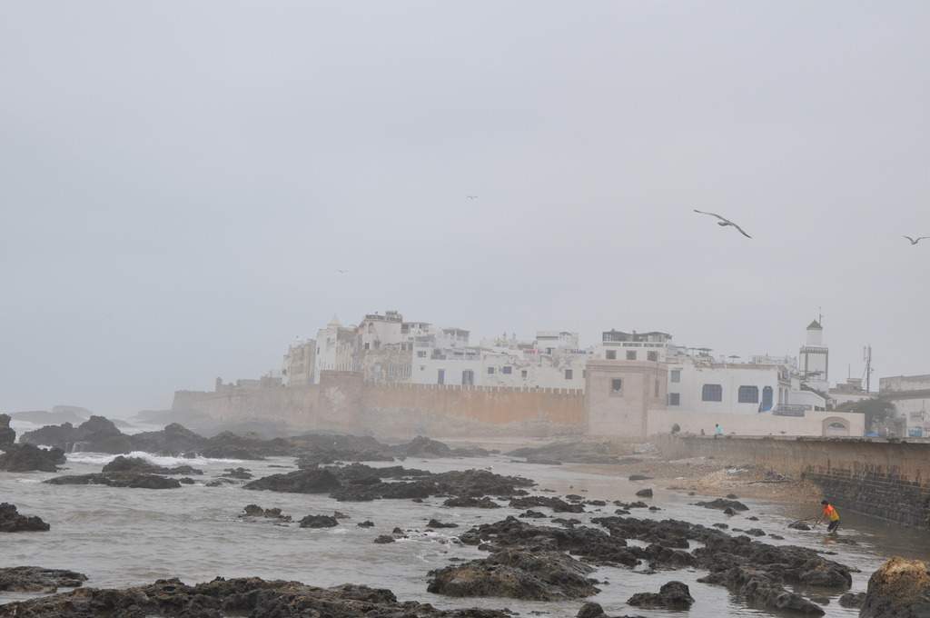 ai1175.photobucket.com_albums_r624_revodka_pouco_20de_20tudo_DSC_0392_zpsdfnn9imk.jpg