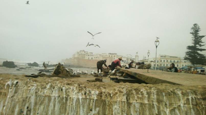 ai1175.photobucket.com_albums_r624_revodka_random_20marrocos_20658db44dc02a1bab4e264db1926f4ea.jpg