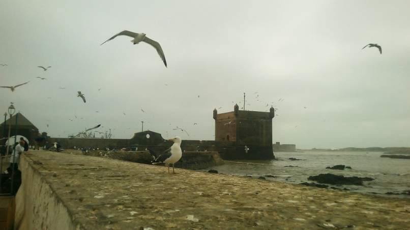 ai1175.photobucket.com_albums_r624_revodka_random_20marrocos_3dbad067a2d9db866faa27bfde2b5823b.jpg