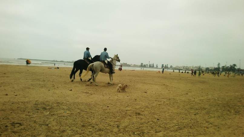 ai1175.photobucket.com_albums_r624_revodka_random_20marrocos_7a863b3ed70c6a9df0b7f1ad0240f1549.jpg