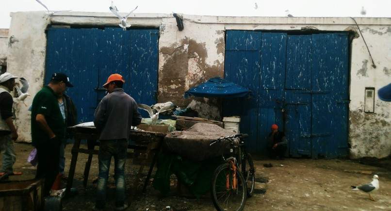 ai1175.photobucket.com_albums_r624_revodka_random_20marrocos_8dc7133f2943ab860379c825893aeb82c.jpg