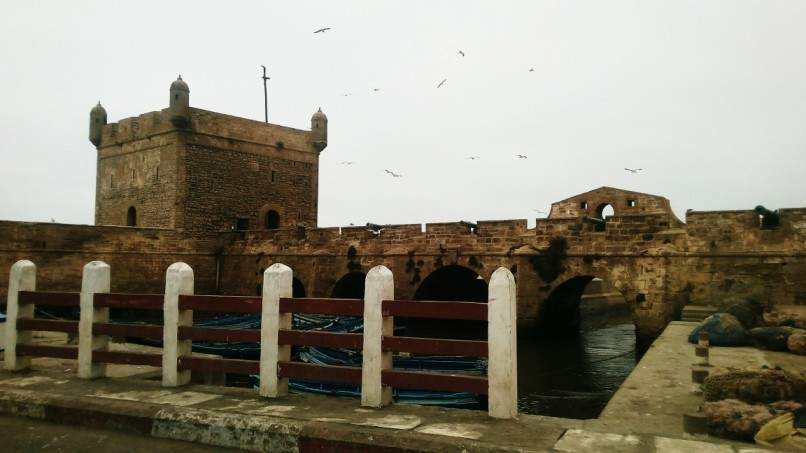 ai1175.photobucket.com_albums_r624_revodka_random_20marrocos_b6bb505d9d8e9e23fa00ef7d1941678db.jpg