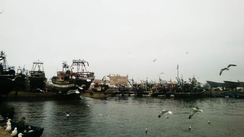 ai1175.photobucket.com_albums_r624_revodka_random_20marrocos_ddf8ada66c1c5ece11bdf6cfe831bf136.jpg