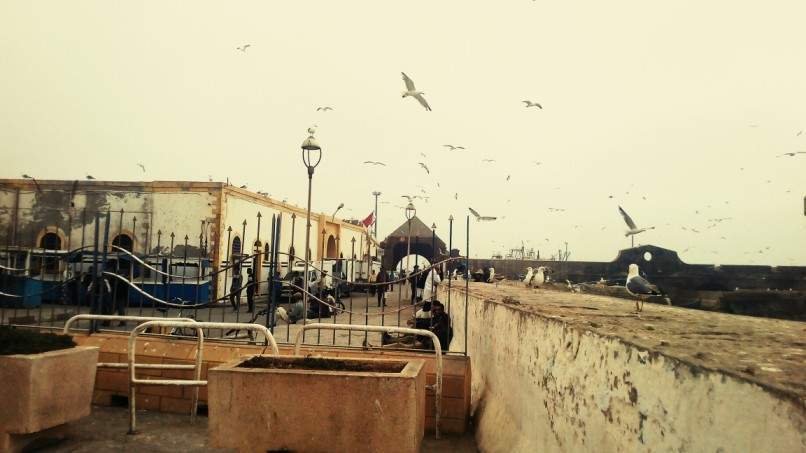 ai1175.photobucket.com_albums_r624_revodka_random_20marrocos_e313f1395445f41b5e8c0967a043673b6.jpg