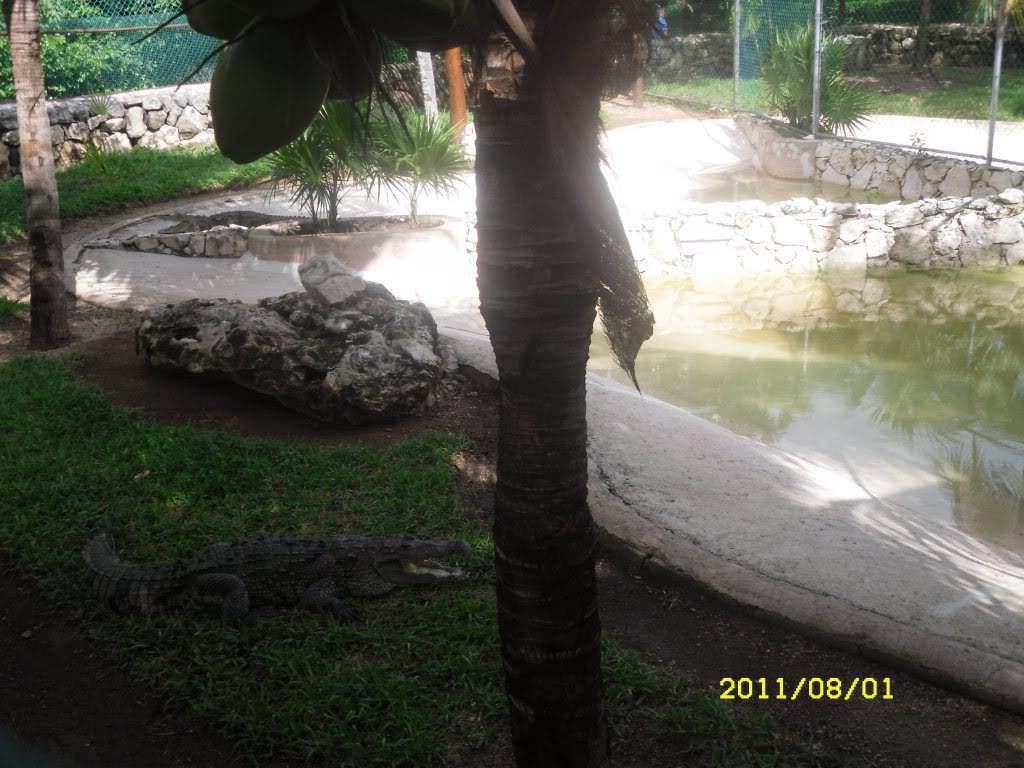 ai1178.photobucket.com_albums_x377_Evy891_SDC10257.jpg