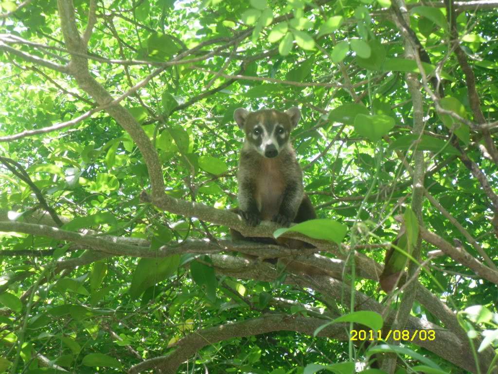 ai1178.photobucket.com_albums_x377_Evy891_SDC10521.jpg