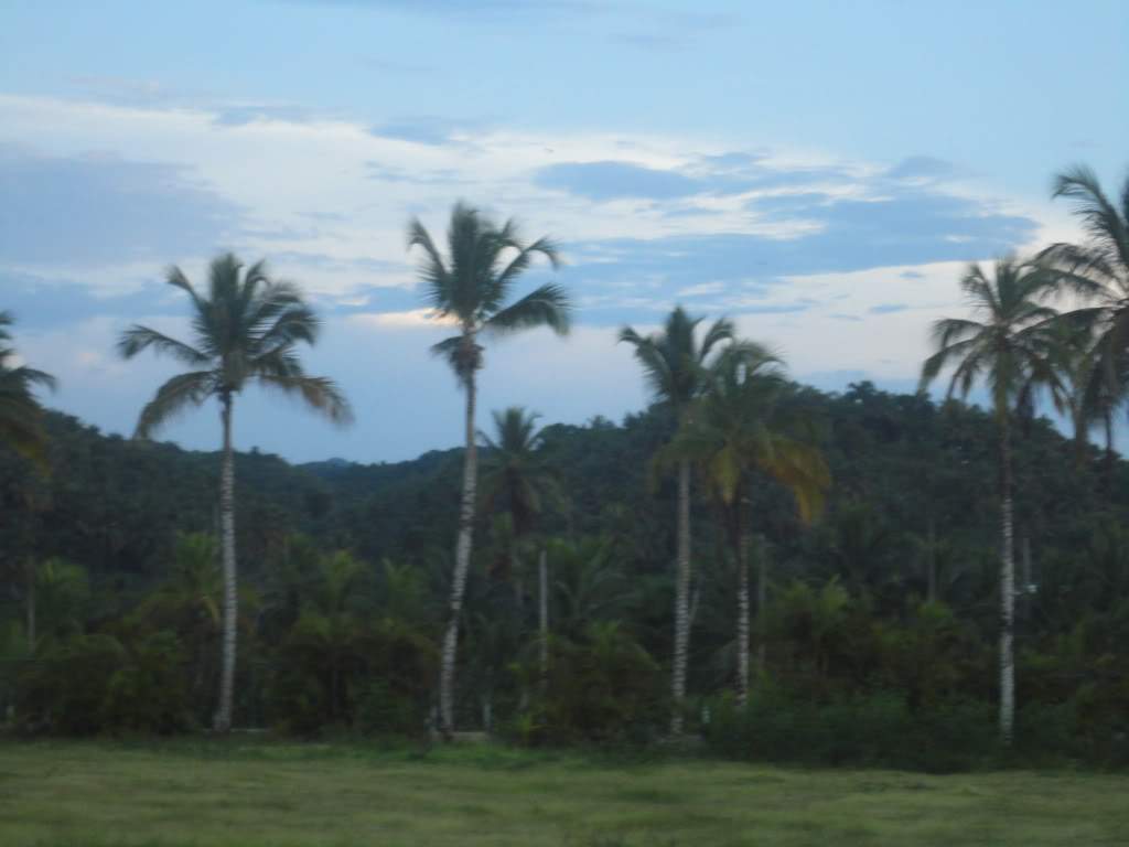 ai1180.photobucket.com_albums_x402_marcelomonteir_048.jpg