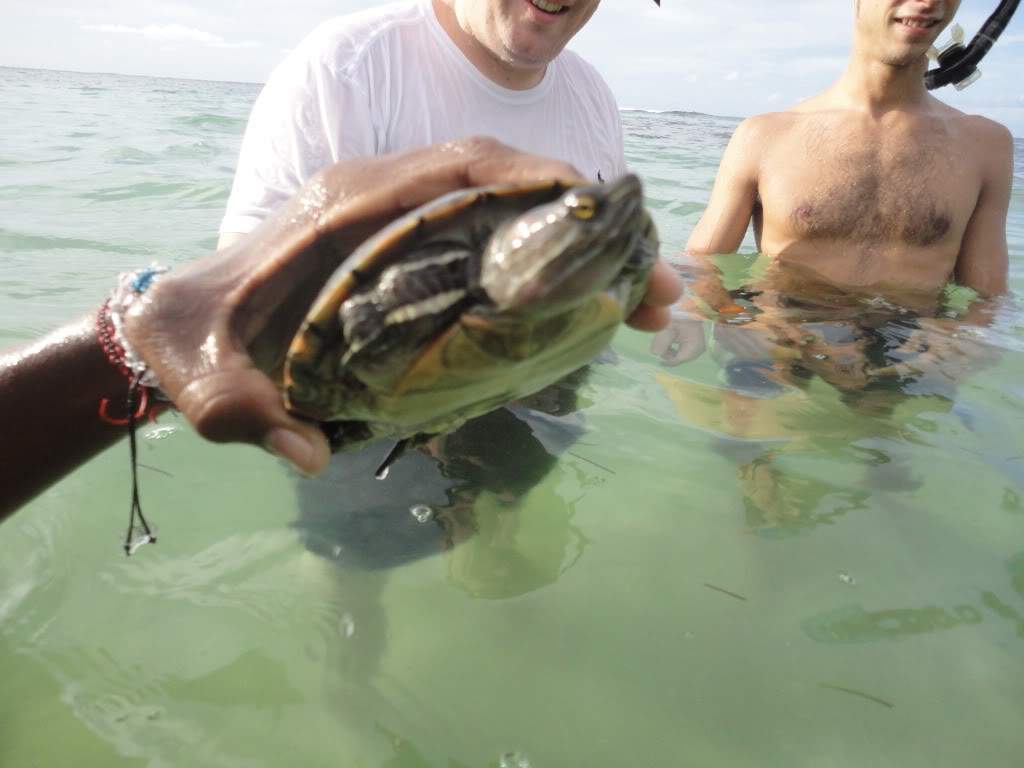 ai1180.photobucket.com_albums_x402_marcelomonteir_439.jpg