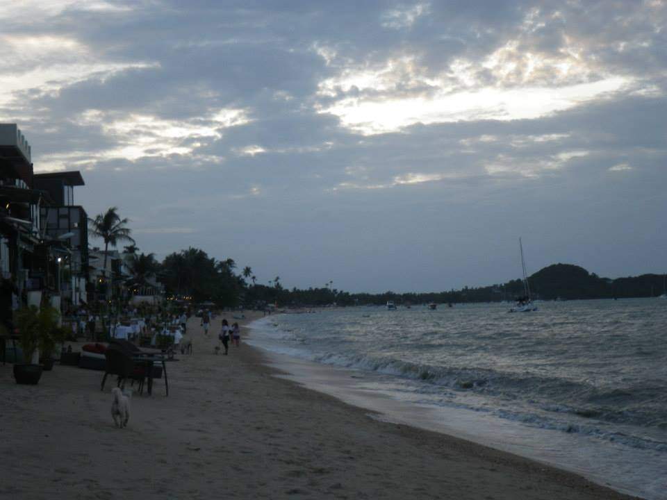ai1184.photobucket.com_albums_z340_margaridaferreira_Facebook_0500f8c5e511a059963ec5773e731d4b.jpg