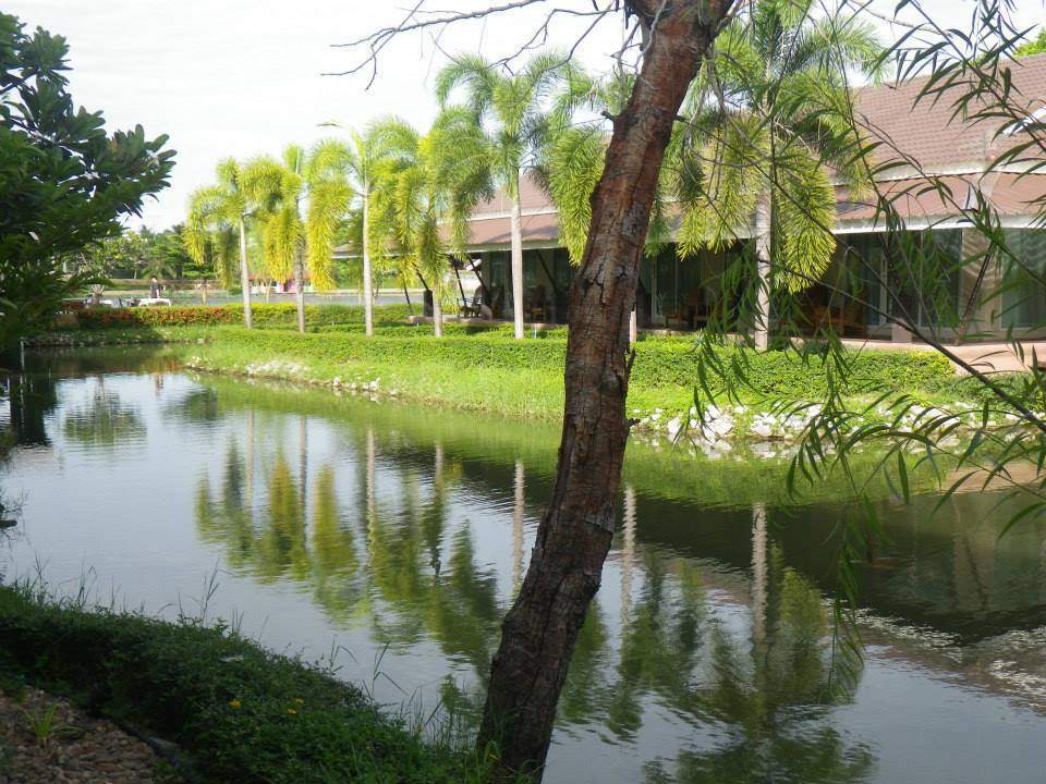 ai1184.photobucket.com_albums_z340_margaridaferreira_Facebook_839115728a32f6988e695c2ff0aa383e.jpg