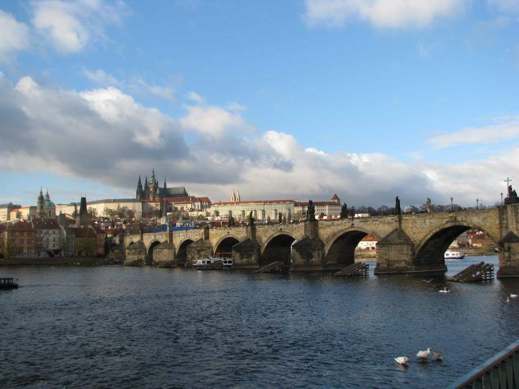 ai1189.photobucket.com_albums_z439_Tmargarida_IMG_4047.jpg