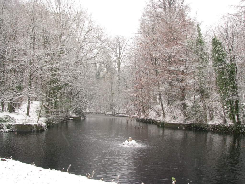 ai1189.photobucket.com_albums_z439_Tmargarida_IMG_4195.jpg