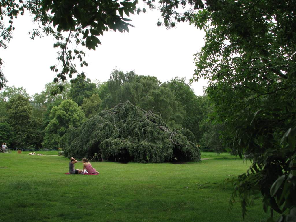 ai1189.photobucket.com_albums_z439_Tmargarida_London_IMG_1813.jpg