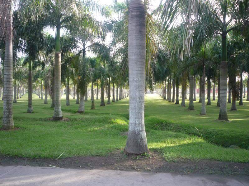 ai1190.photobucket.com_albums_z456_nmsilva_P1020562_800x600.jpg