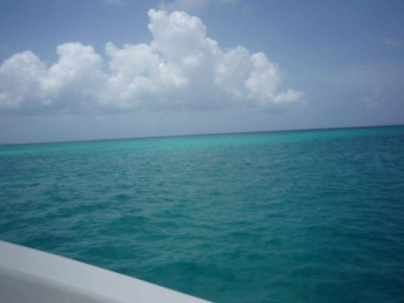 ai1190.photobucket.com_albums_z456_nmsilva_P1020605_800x600.jpg
