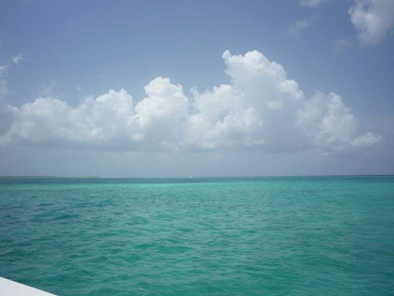 ai1190.photobucket.com_albums_z456_nmsilva_P1020607_800x600.jpg