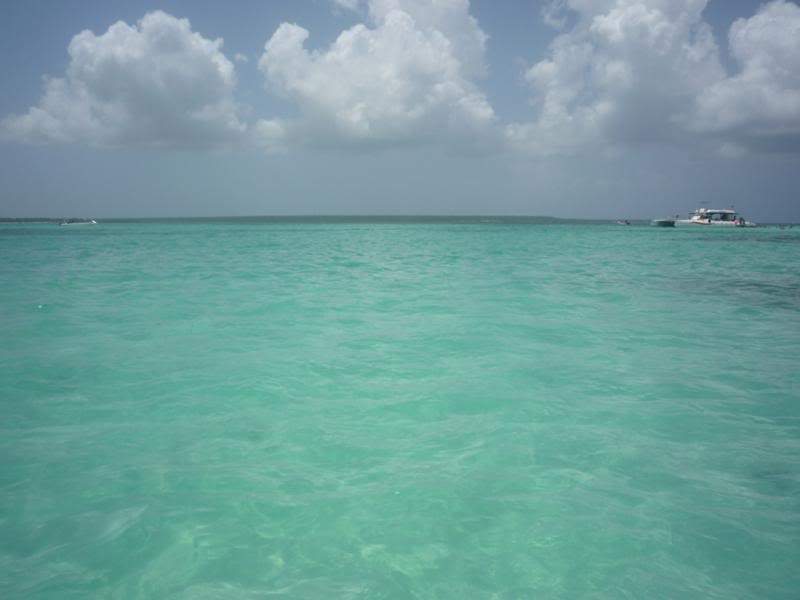 ai1190.photobucket.com_albums_z456_nmsilva_P1020615_800x600.jpg