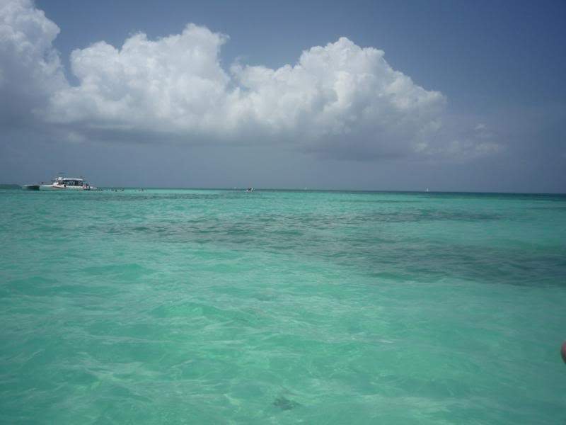 ai1190.photobucket.com_albums_z456_nmsilva_P1020616_800x600.jpg