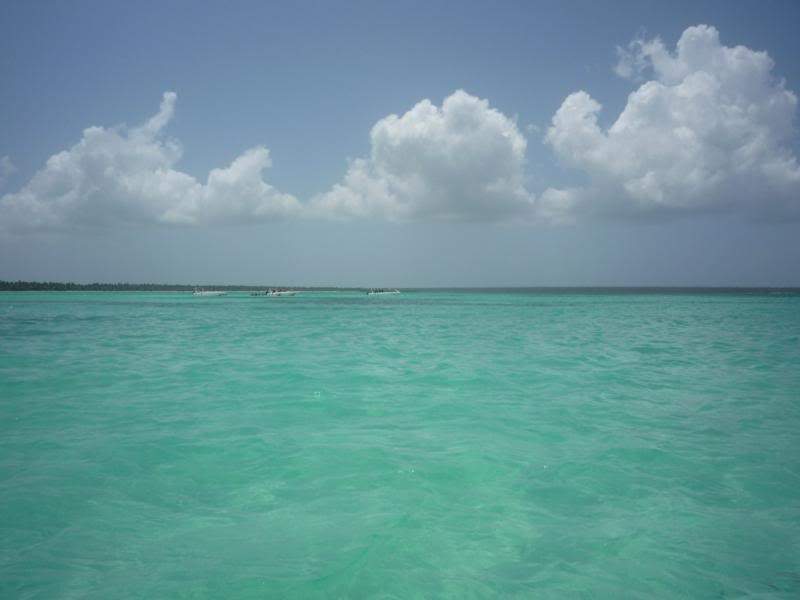 ai1190.photobucket.com_albums_z456_nmsilva_P1020617_800x600.jpg