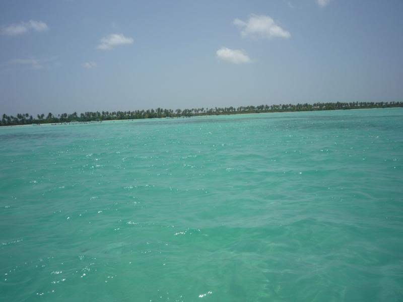 ai1190.photobucket.com_albums_z456_nmsilva_P1020618_800x600.jpg