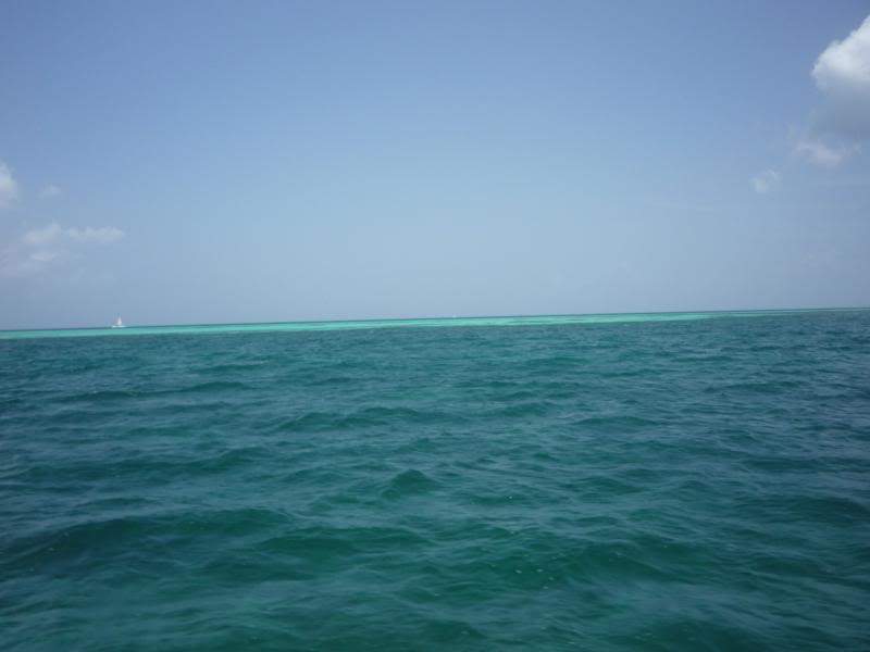 ai1190.photobucket.com_albums_z456_nmsilva_P1020621_800x600.jpg