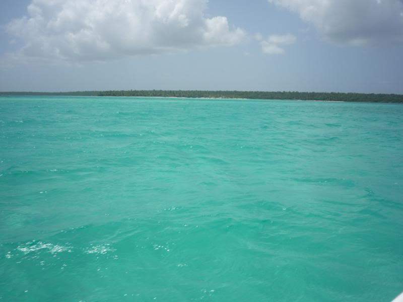 ai1190.photobucket.com_albums_z456_nmsilva_P1020623_800x600.jpg