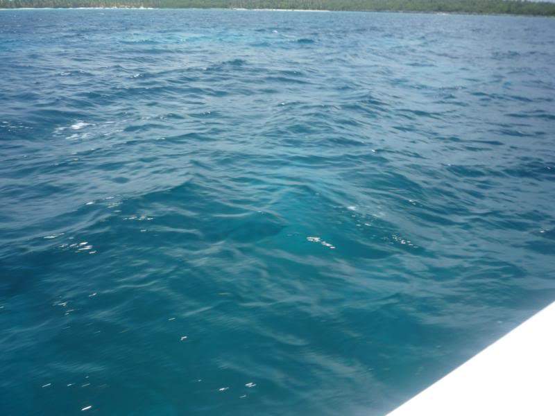 ai1190.photobucket.com_albums_z456_nmsilva_P1020624_800x600.jpg