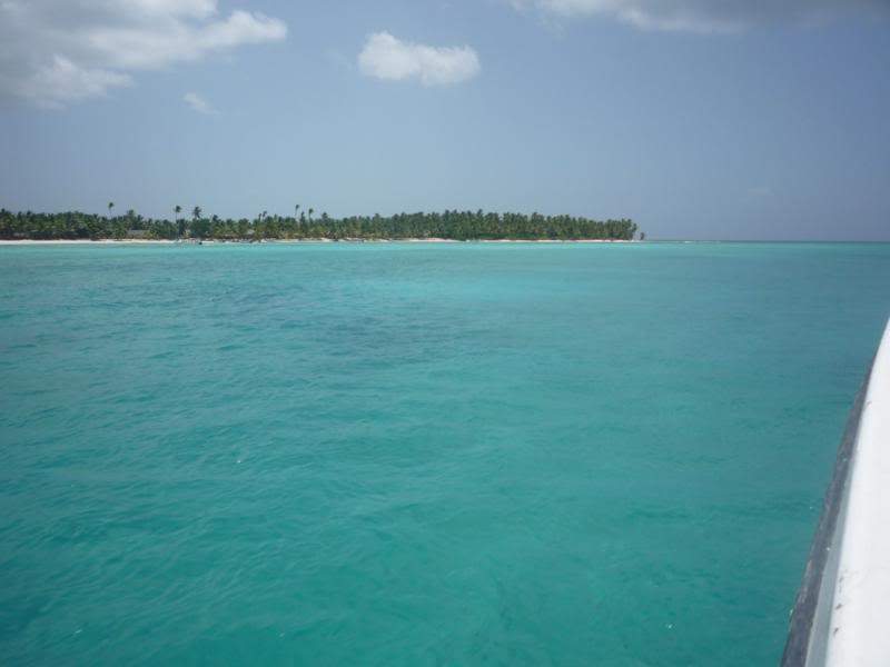 ai1190.photobucket.com_albums_z456_nmsilva_P1020629_800x600.jpg