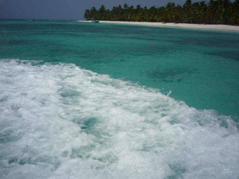 ai1190.photobucket.com_albums_z456_nmsilva_P1020630_800x600.jpg