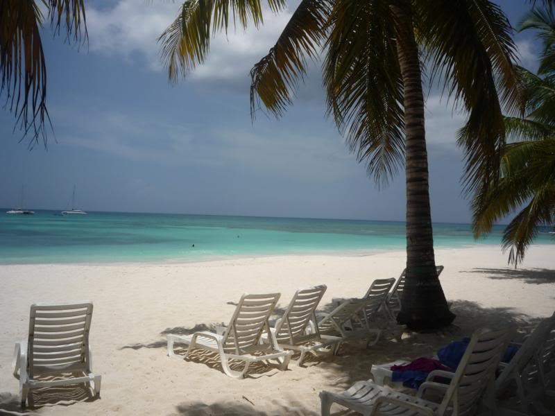 ai1190.photobucket.com_albums_z456_nmsilva_P1020631_800x600.jpg