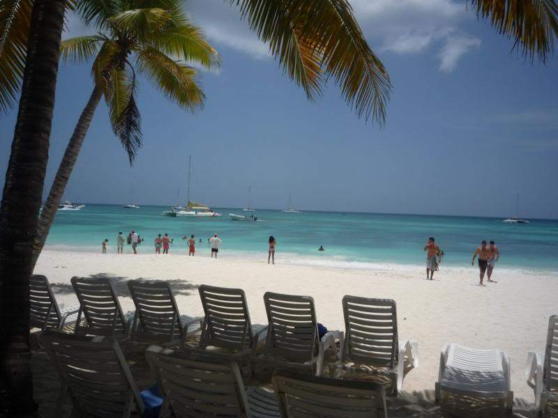 ai1190.photobucket.com_albums_z456_nmsilva_P1020632_800x600.jpg