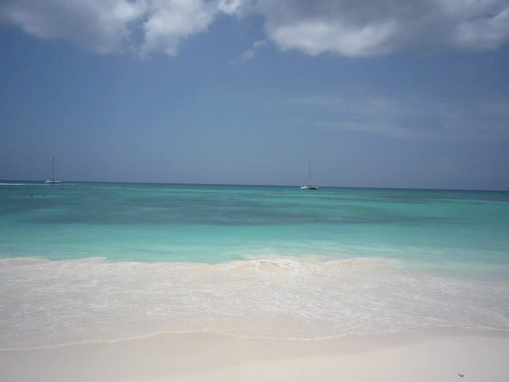 ai1190.photobucket.com_albums_z456_nmsilva_P1020634.jpg