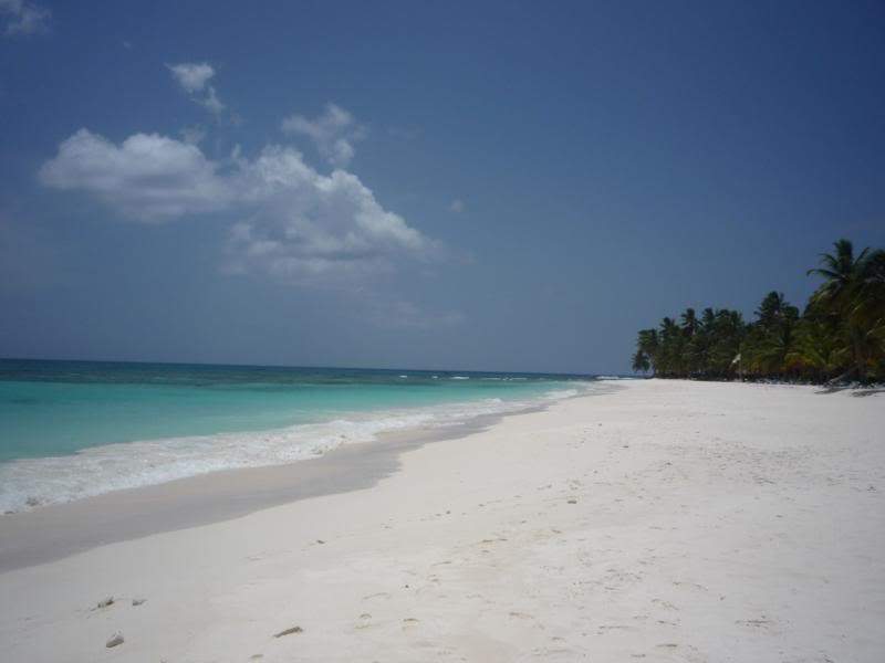 ai1190.photobucket.com_albums_z456_nmsilva_P1020636_800x600.jpg