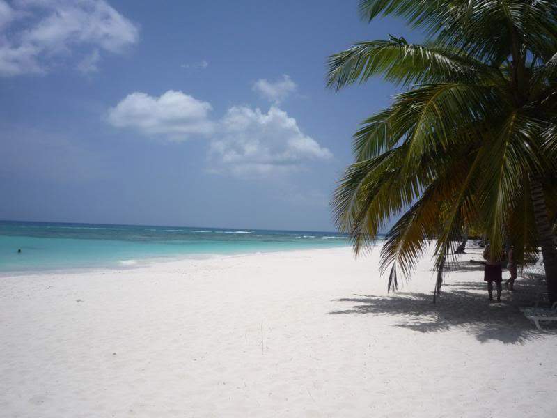 ai1190.photobucket.com_albums_z456_nmsilva_P1020638_800x600.jpg