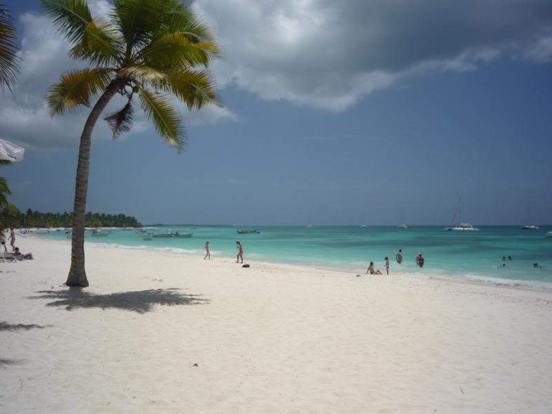ai1190.photobucket.com_albums_z456_nmsilva_P1020640_800x600.jpg