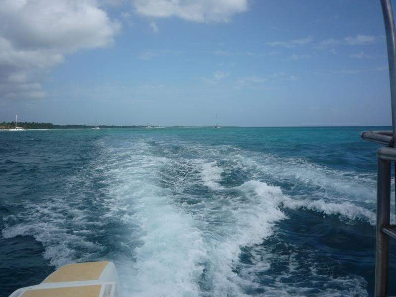 ai1190.photobucket.com_albums_z456_nmsilva_P1020651_800x600.jpg