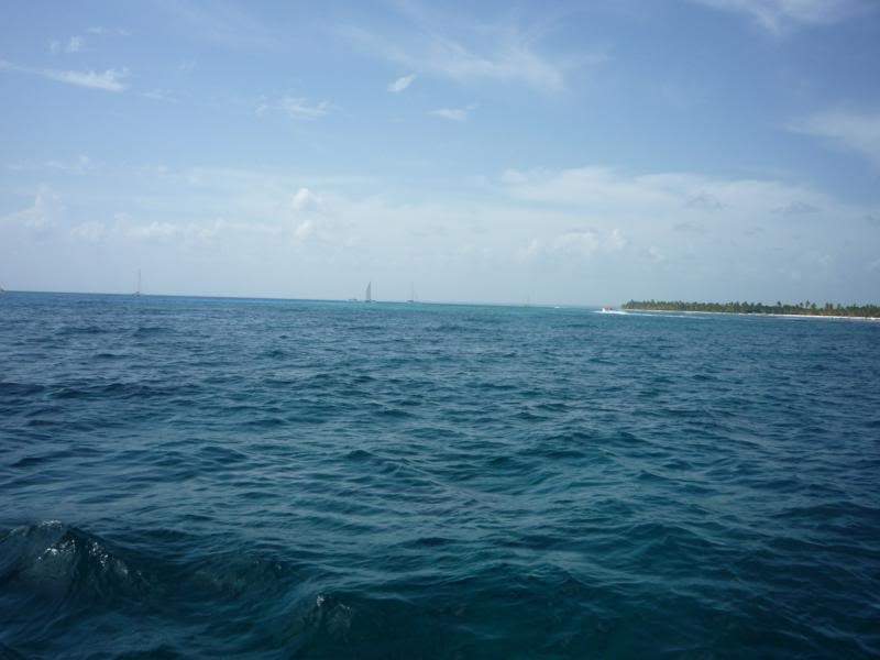 ai1190.photobucket.com_albums_z456_nmsilva_P1020652_800x600.jpg