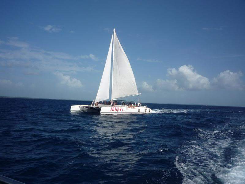 ai1190.photobucket.com_albums_z456_nmsilva_P1020680_800x600.jpg
