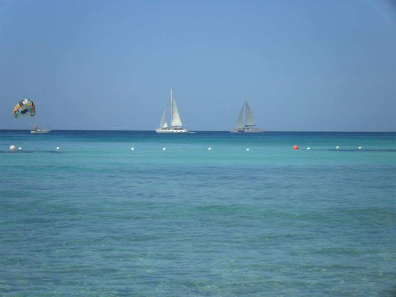 ai1190.photobucket.com_albums_z456_nmsilva_SAM_0255_800x600.jpg