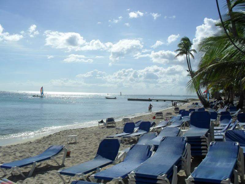 ai1190.photobucket.com_albums_z456_nmsilva_SAM_0283_800x600.jpg