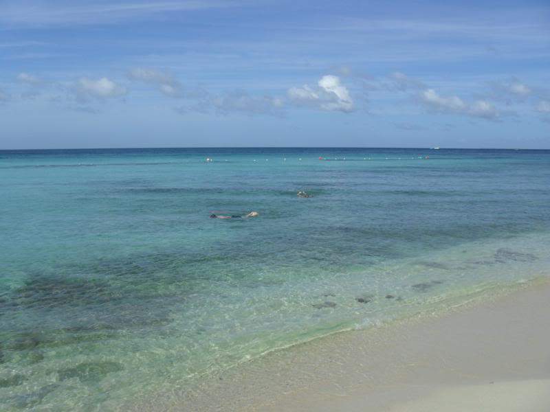 ai1190.photobucket.com_albums_z456_nmsilva_SAM_0320_800x600.jpg